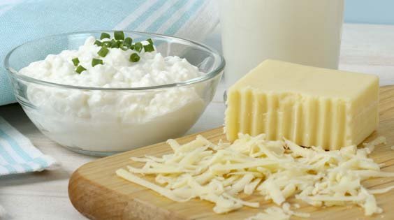 Fermented Dairy Products: Cottage Cheese with Chives