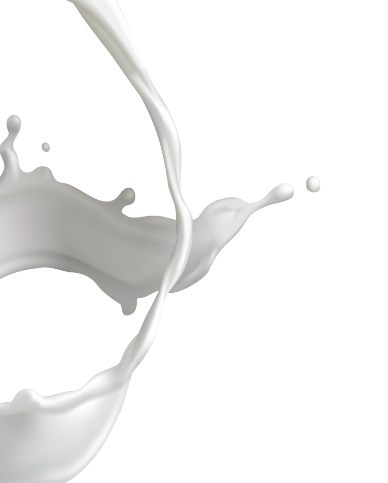 dairy farm virtual field trip milk splash